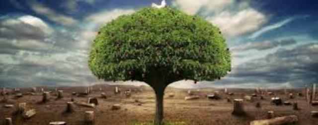 La carta de la tierra