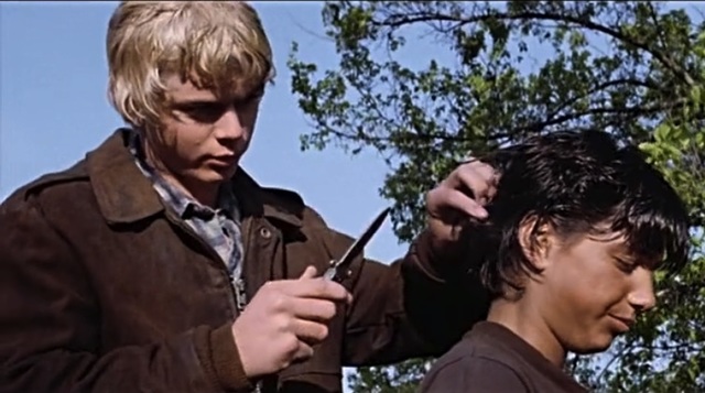 They change the appearance.