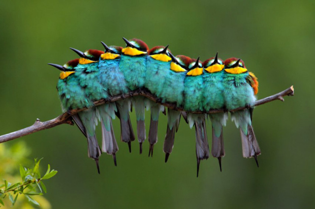 Conferencia TBLLISI,GEORGIA