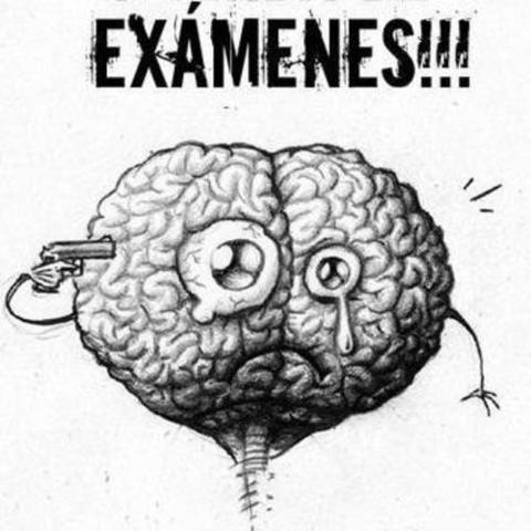 Bachiller en Educación Media