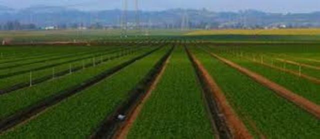 Educacion a distancia