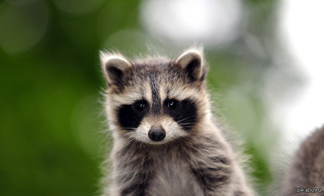 Первое ноября