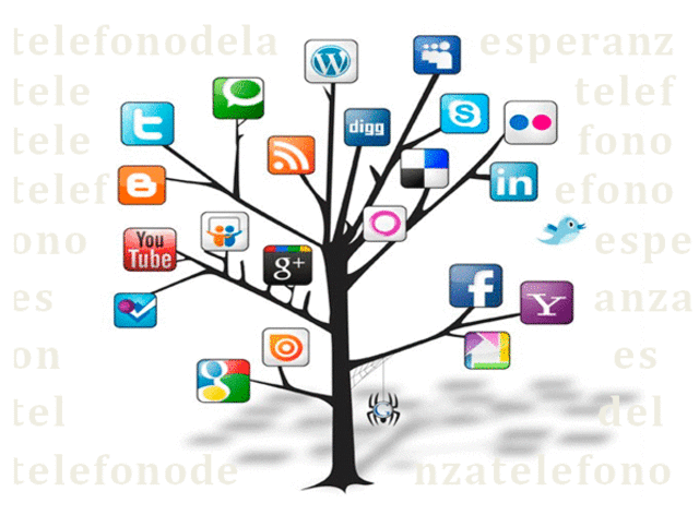 COMIENZO DE EVOLUCION DE REDES