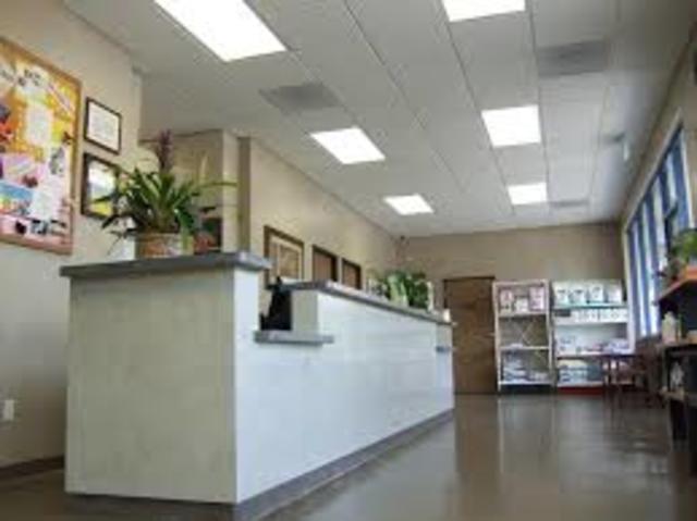 Purchase my own practice