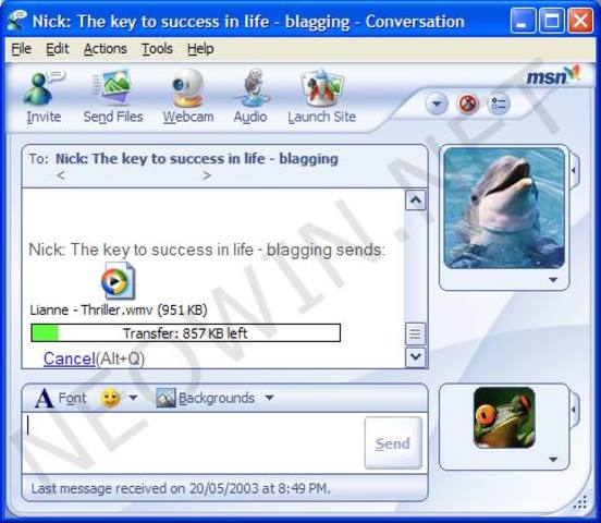 Actualización 6.0 de MSN Messenger