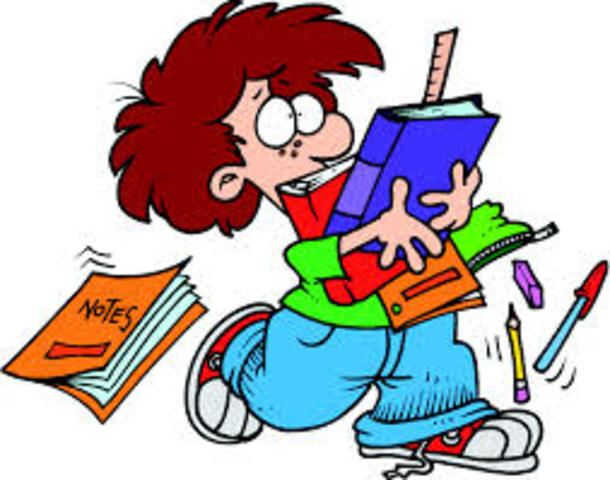 Identificar y poner en común los objetivos y contenidos curriculares.