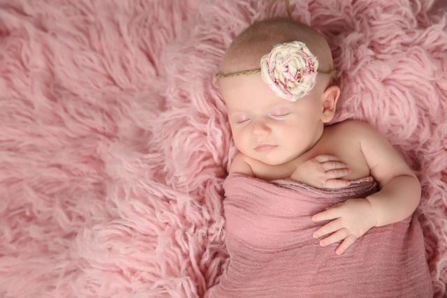 Birth of Stephanie in Tampa, Florida