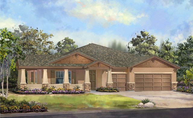 My own home! (Cognitive/psychosocial)