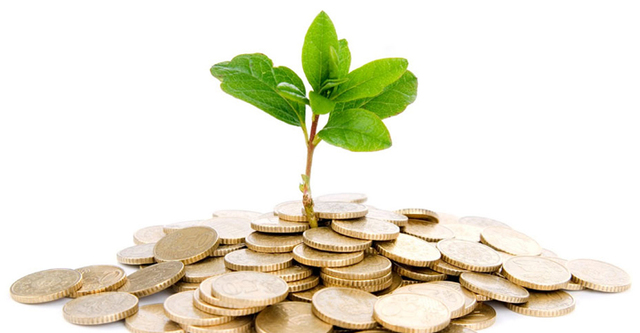 EL NEGOCIO TOMA FORMA..