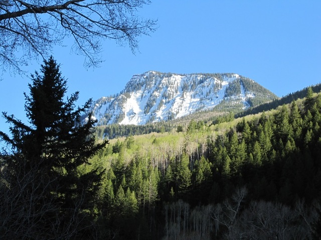 Into the wilderness - 120 BC