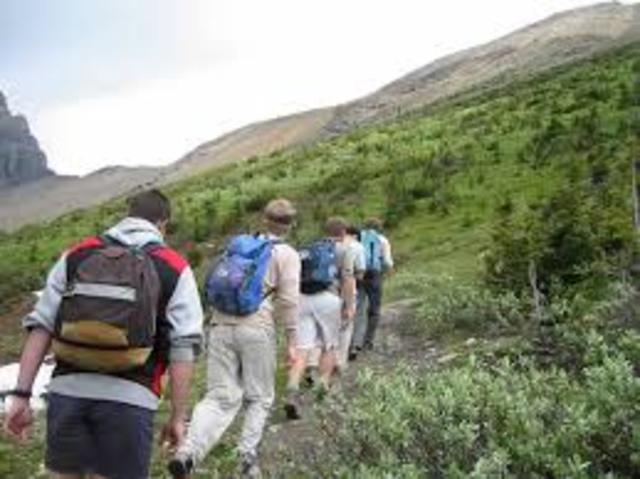 Physical Activity and Health