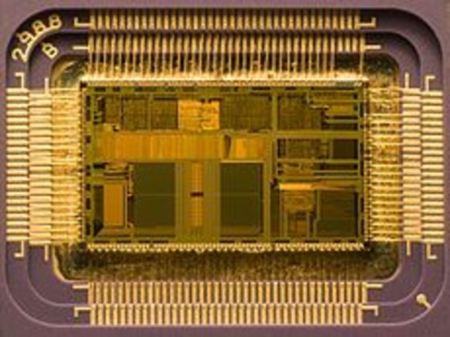 Microchip