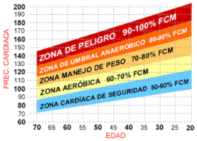 ZONAS DE ENTRENAMIENTO