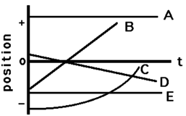 Day 7 - Finish Areas and Slopes of Motion Graphs; Review for Test