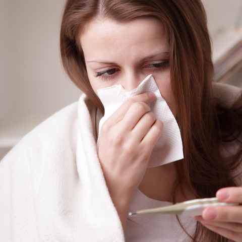 Influenza Season Worksheet & Epidemic Article