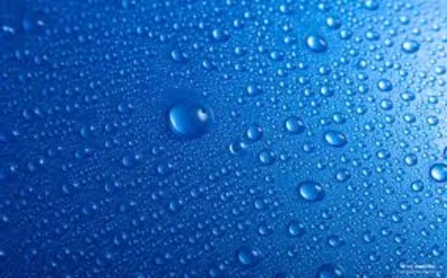 The rainforest has experienced more rainfall