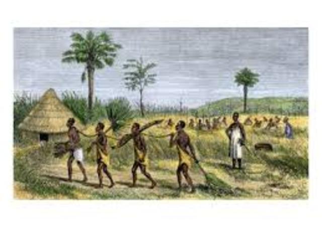Native Slaves