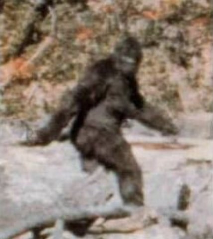 Bigfoot on film?