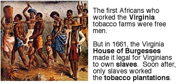 Virginia established Slavery