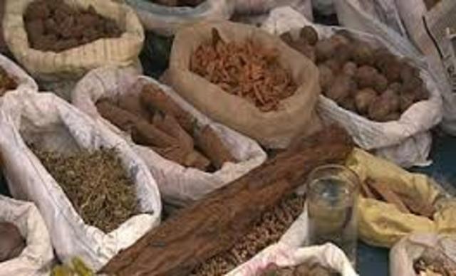 Europeans settle in India