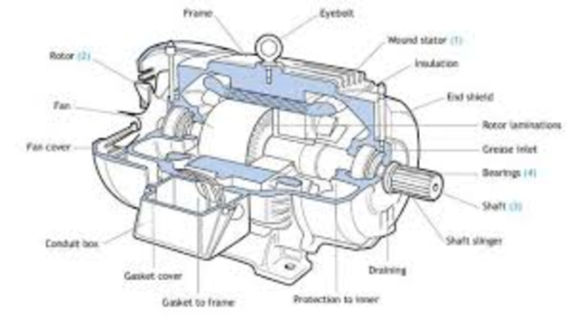 The Electric Motor