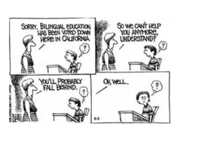 Bilingual Education Act Amendment Provision