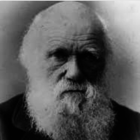 Darwin writes his "Essay on Population"