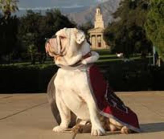 Student Teacher of the Year for Universtiy of Redlands School of Education