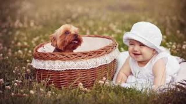 New additions to the family