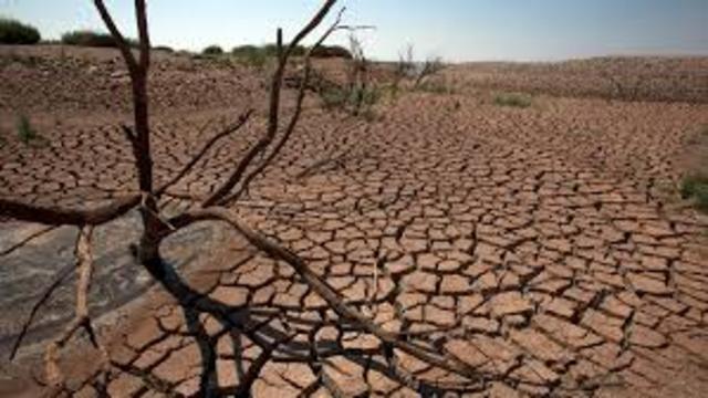 One third of the world will be suffering from extreme droughts.