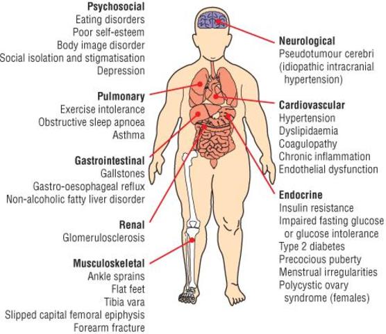 Common Health Concerns