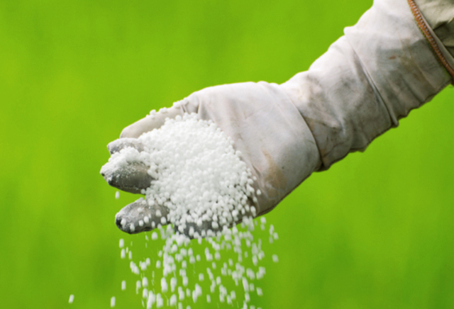 First artificial granulated fertalizer