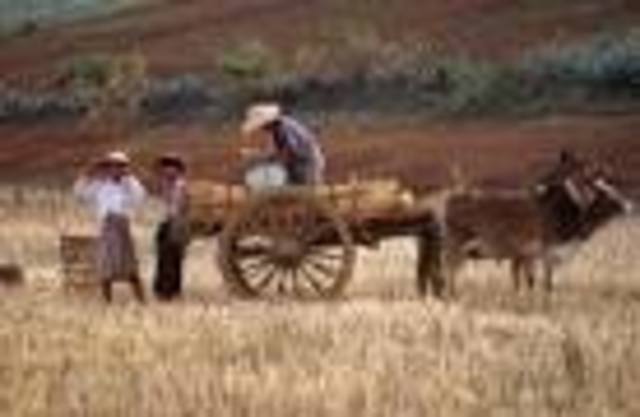 Comienzo de la era agricola