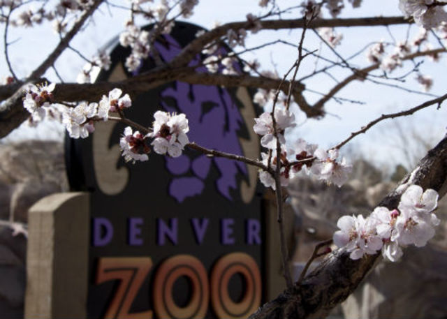 Denver Zoo