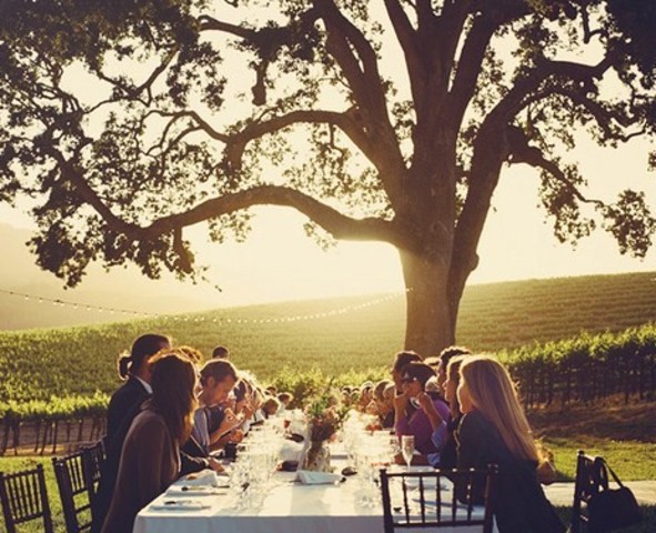 Vivir mi vida pensionada, y con la familia mas unida del mundo.