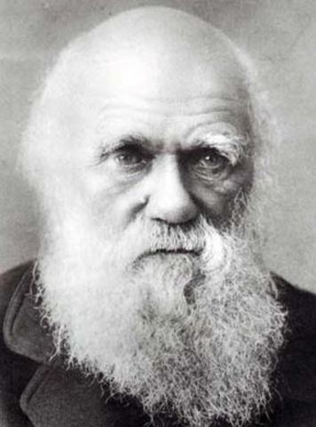 Charles Darwin uses characteristics of creativity to explain natural selection.