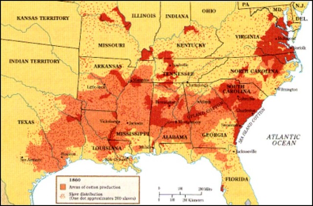 Production fo Cotton in the south