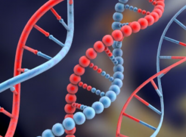 comienza el analisis del genoma humano