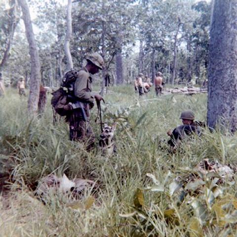 Battle of La Drang Valley