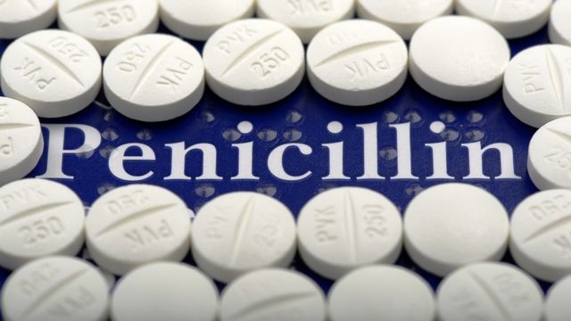 Penicillin Purified