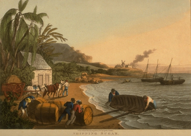 The Revolution of Brazil