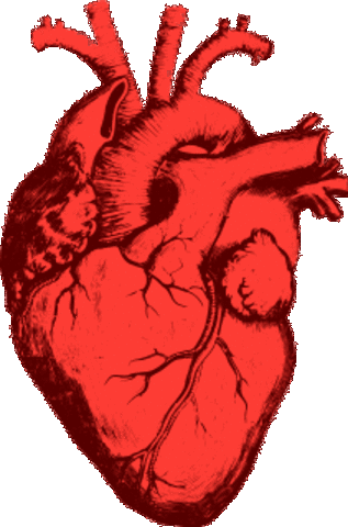 40s Preventative Health