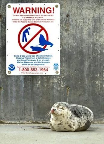 Marine Mammals Protection Act (MMPA)