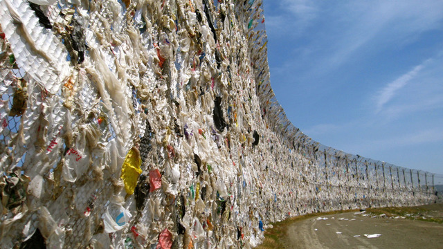 California Bans Plastic Bags
