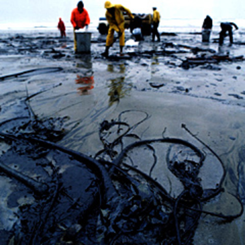 Gulf War oil spill