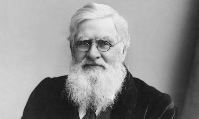 Alfred Wallace