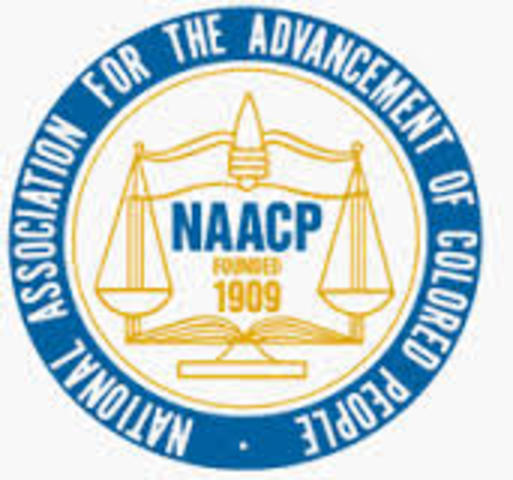 Founded the National Association for the Advancment of Colored People