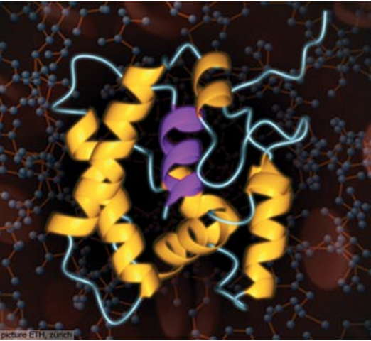 Ionización electronebulizada en MS MALDI en análisis de proteínas por MS NMR