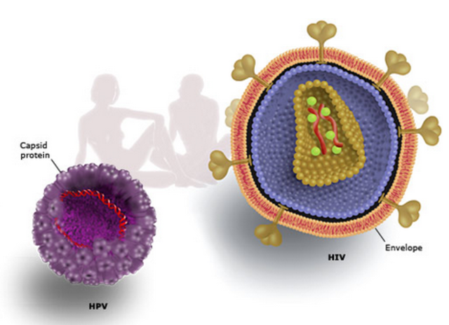 Premio Nobel de Medicina y Fisiología Descubrimiento del VIH a Francoise Barré-Sinoussi, Luc Montagnier y de HPV Harald zur Hausen