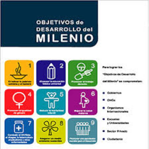 DECLARACIÓN DEL MILENIO